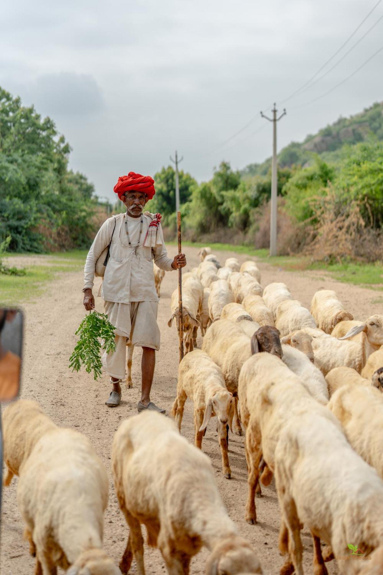 Jawai Greens Jawai Bandh 외부 사진