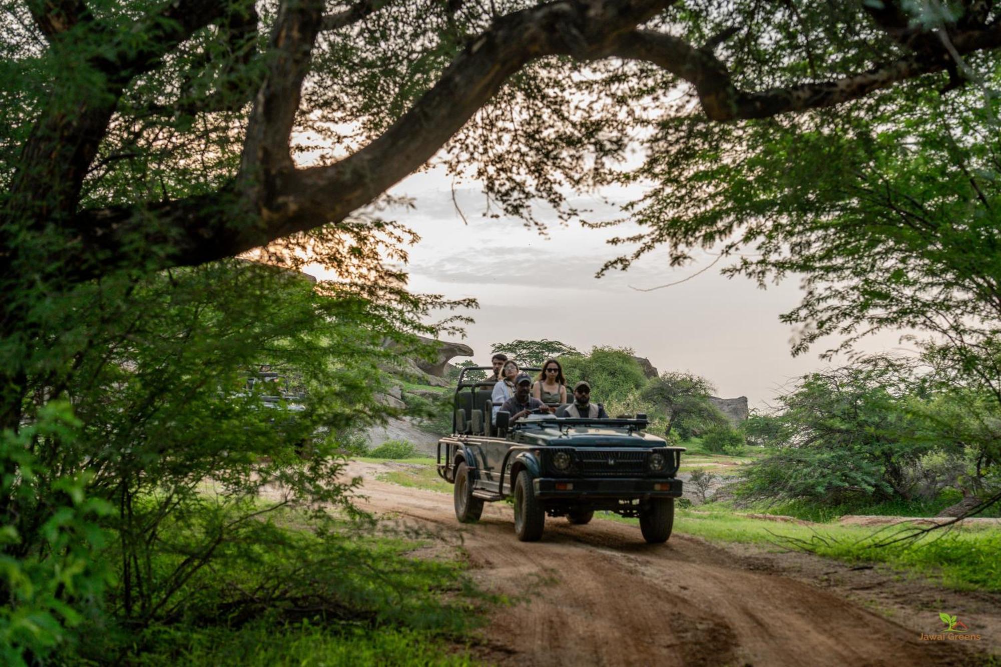 Jawai Greens Jawai Bandh 외부 사진
